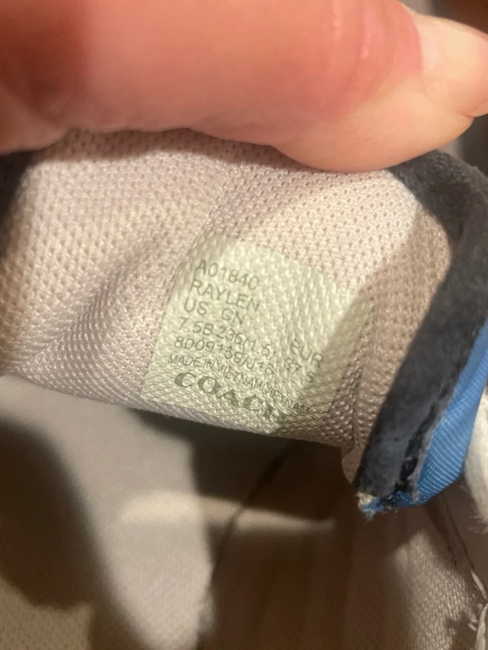 Coach W Blue & White Low-Top Sneaker